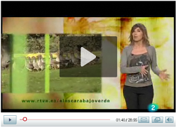 Video del programa