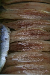 Anchoas en salazón