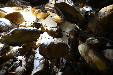 Schinken beim Reifeprozess in der Bodega