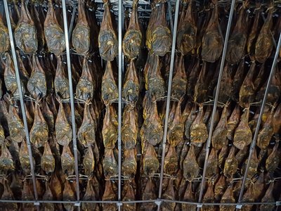 Paletas curándose en la bodega de Domecq