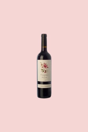Vino tinto joven crianza Camins del Priorat 2013, D.O. Priorat