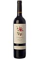 Vino tinto joven crianza Camins del Priorat 2013, D.O. Priorat