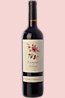 Vino tinto joven crianza Camins del Priorat 2013, D.O. Priorat