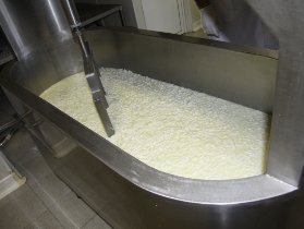 Proceso de elaboración del queso Idiazabal