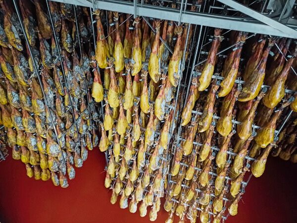 Jamones curándose en la bodega de Domecq