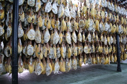 Jamones ibéricos en un secadero en Extremadura