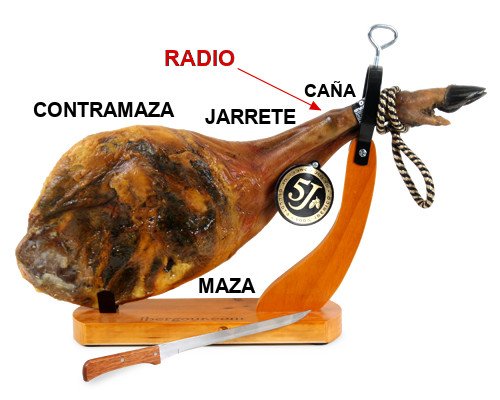 Partes de una paleta ibérica