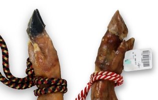 Pezuñas negras y doradas de los jamones duroc