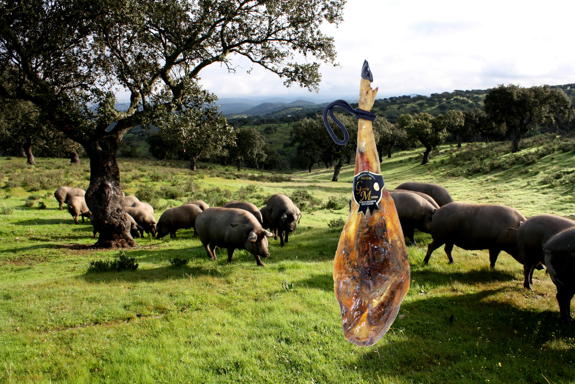 Jamón GM e Hijos al 20% dto.